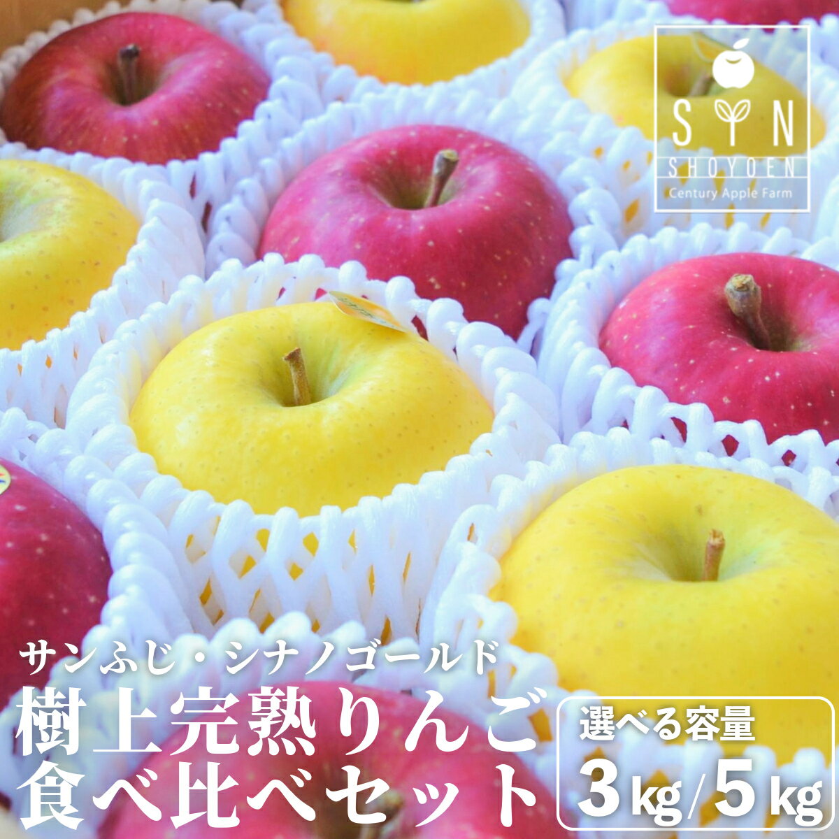 先行予約 りんご 食べ比べ セット サンふじ シナノゴールド 3kg 7個〜9個 5kg 12個〜18個 選べる 松陽園 樹上 完熟 林檎 リンゴ 岩手県 遠野市 産 農家 産地 直送 フルーツ 果物 果実 品種 ギフト お歳暮 味比べ 品種 送料無料 2025年11月から発送