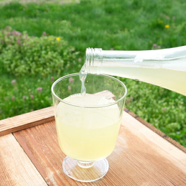 【ふるさと納税】りんごジュース 2本 6本 セット 720ml / 100% 東北 岩手県 遠野市 松陽園 りんご農家 松陽園 農家 産地 直送 ギフト プレゼント 母の日 贈答 お祝い クリスマス 贈答 箱 詰め合わせ 送料無料 リンゴ アップル 果汁飲料 林檎 朝食 無添加 健康 サムネイル2