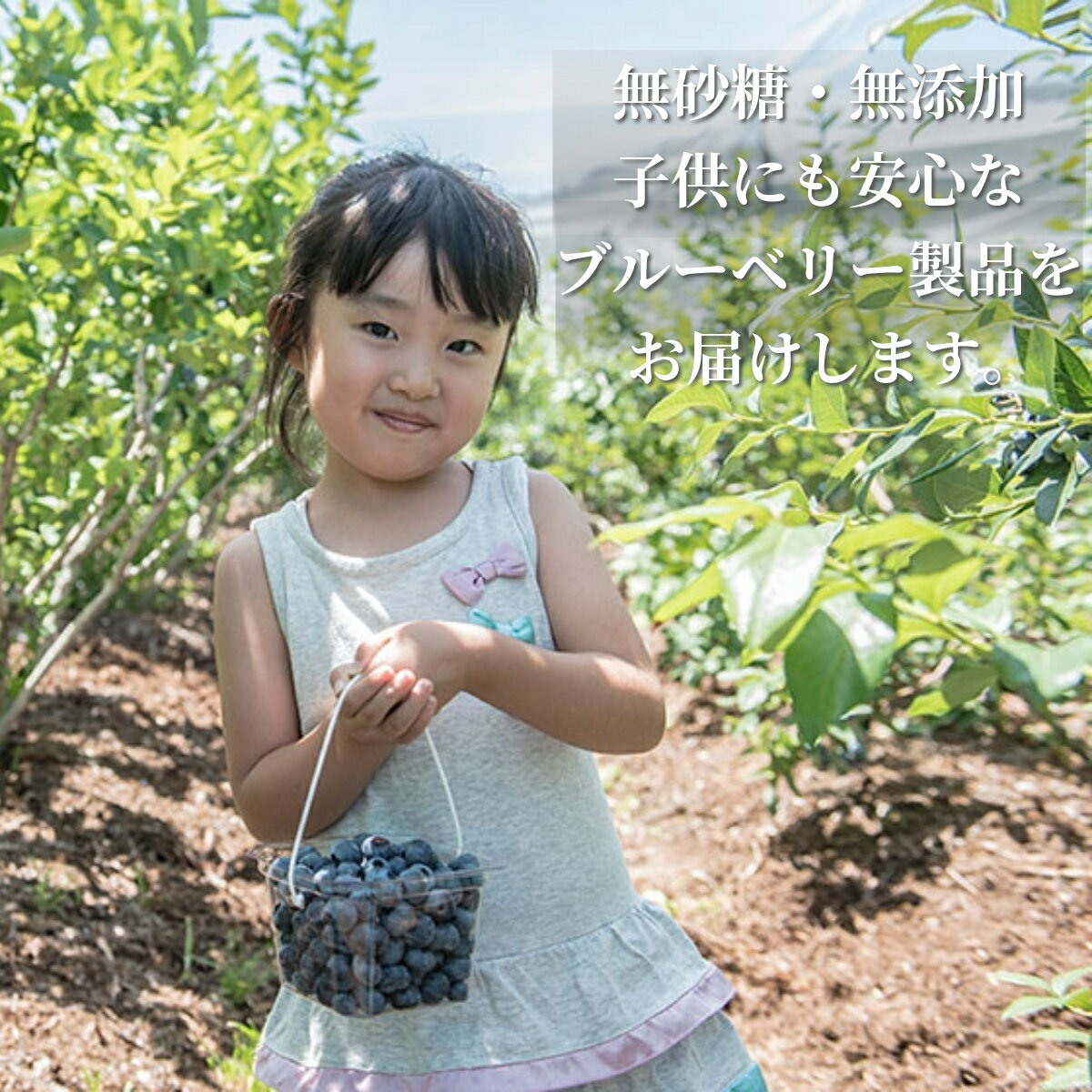 【ふるさと納税】ブルーベリー 冷凍 大粒 合計 800g ( 400g パック 2個) 門前おくでら ブルーベリー園 国産 岩手県 遠野市 果実 フルーツ 果物 くだもの 健康 美容 目 抗酸化作用 アントシアニン ポリフェノール 老化防止 ビタミン ミネラル 食物繊維 腸内環境 視力 送料無料 サムネイル3