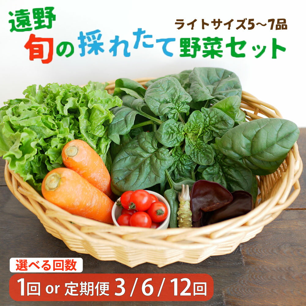 野菜セット 旬の採れたて ライト サイズ（5〜7品）選べる回数 お試し 1回 定期便3・6・12回 こんたでぃーの遠野 岩手県 遠野市 産 やさい 詰め合わせ 新鮮 直送 旬 仕送り キャンプ アウトドア バーベキュー BBQ 料理 栄養 家庭 健康 お取り寄せ 送料無料