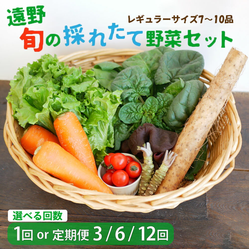 旬の採れたて 野菜セット レギュラー サイズ（7〜10品）選べる回数 お試し 1回 定期便 3・6・12回 こんたでぃーの遠野 岩手県 遠野市 やさい 詰合せ 新鮮 直送 旬 仕送り キャンプ アウトドア バーベキュー BBQ 料理 栄養 家庭 健康 お取り寄せ 送料無料