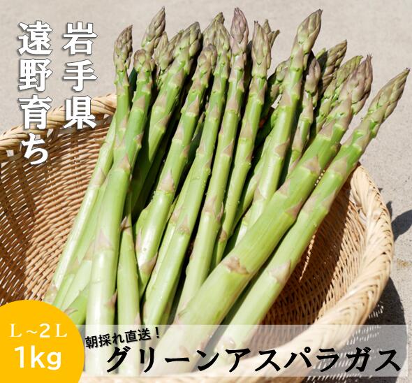 アスパラガス 1kg 岩手県 遠野市 産 採れたて グリーン アスパラ 新鮮 L / 2L サイズ 混載 太い 甘い 生 アスパラガス こんたでぃーの遠野 発送 先行 予約 農家直送 ギフト 新鮮 旬 仕送り 料理 お弁当 パスタ ソテー 産地直送