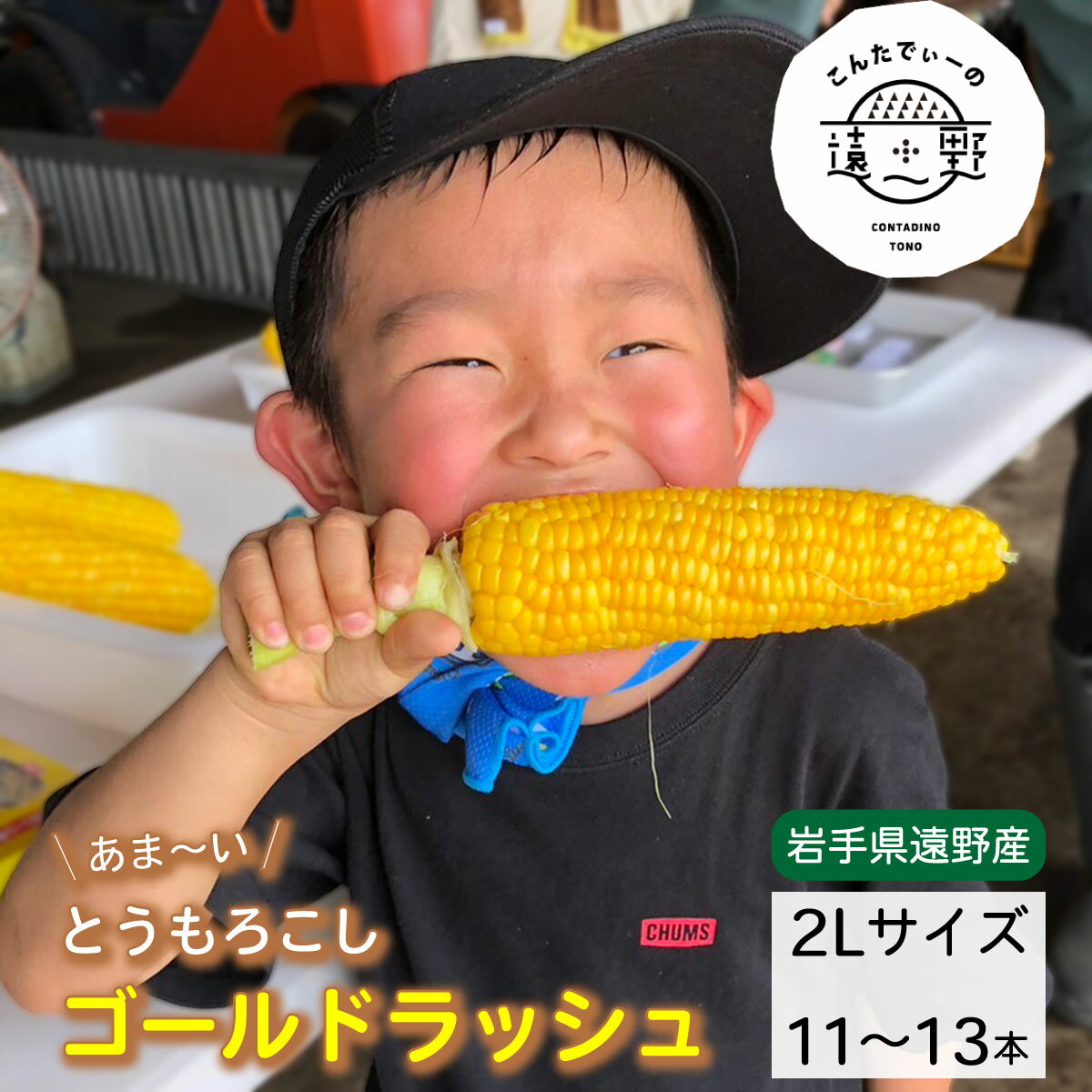 甘ーい とうもろこし ゴールドラッシュ 朝採り こんたでぃーの遠野 先行予約 高糖度 約 5 kg 2L サイズ 11~13本 2026年 7月下旬 から 発送予定 岩手県 遠野市 農家 産地 直送 甘い コーン 夏 野菜 トウモロコシ 数量限定 送料無料