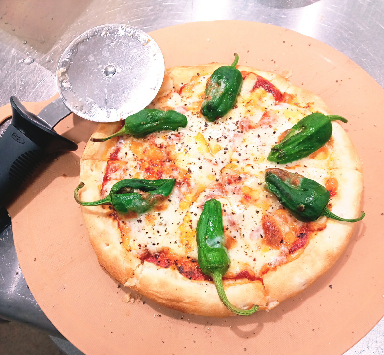 【ふるさと納税】遠野産 パドロン / こんたでぃーの遠野【先行予約：2026年7月より発送予定】 東北 岩手県 遠野市 農家 産地 直送 おつまみ 数量限定 野菜 旬 とれたて ふるさと ビール に合う ベジタブル 仕送り キャンプ BBQ 飲み会 素揚げ ししとう お取り寄せ 送料無料 - 画像2