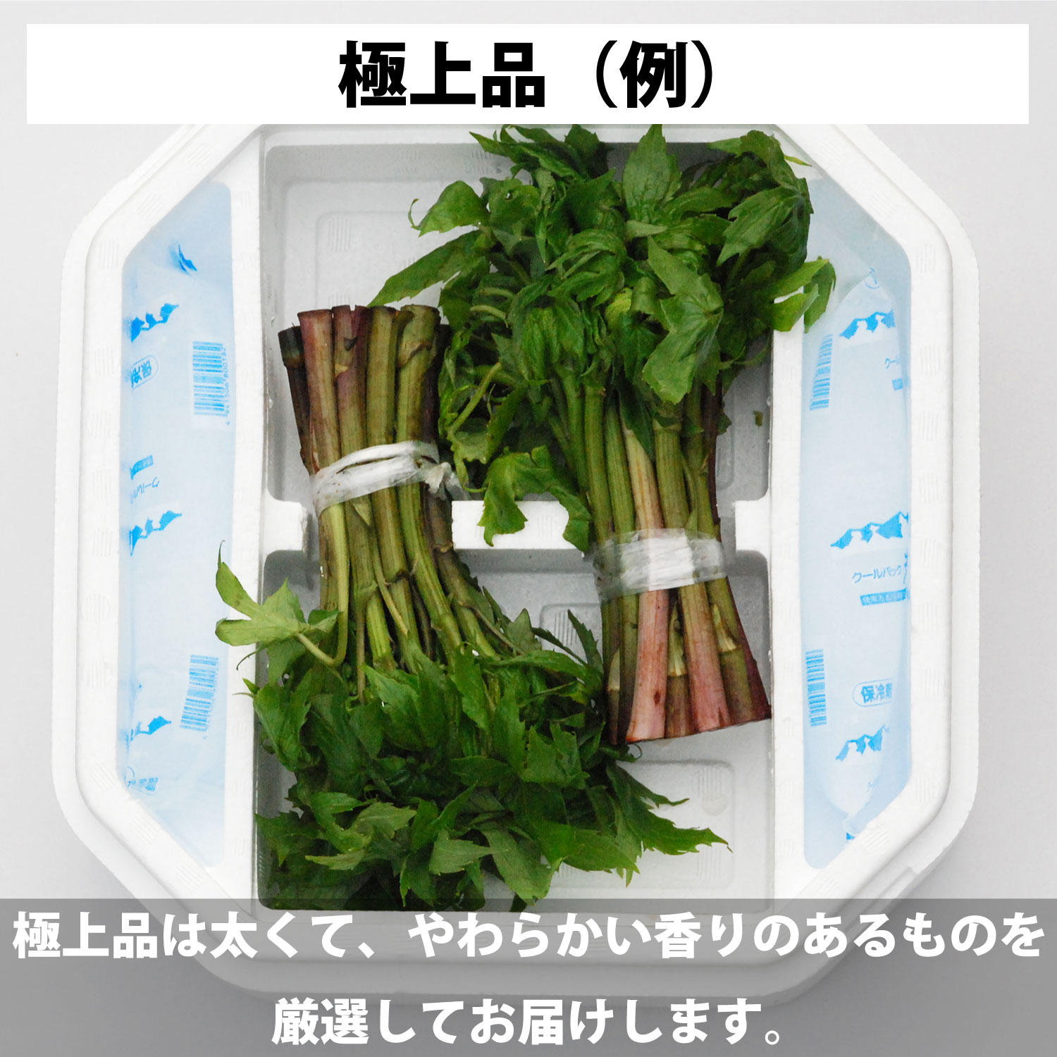 【ふるさと納税】しどけ 天然 極上品 訳あり 250g×2束 計 500g 岩手県 遠野市 産 山菜 シドケ モミジガサ 天ぷら 旬 田村りんご店 期間限定 数量限定 令和8年産 2026年産 春野菜 春 野菜 産地 直送 お取り寄せ 新鮮 おひたし 和え物 訳アリ わけあり ワケアリ 送料無料 - 画像3