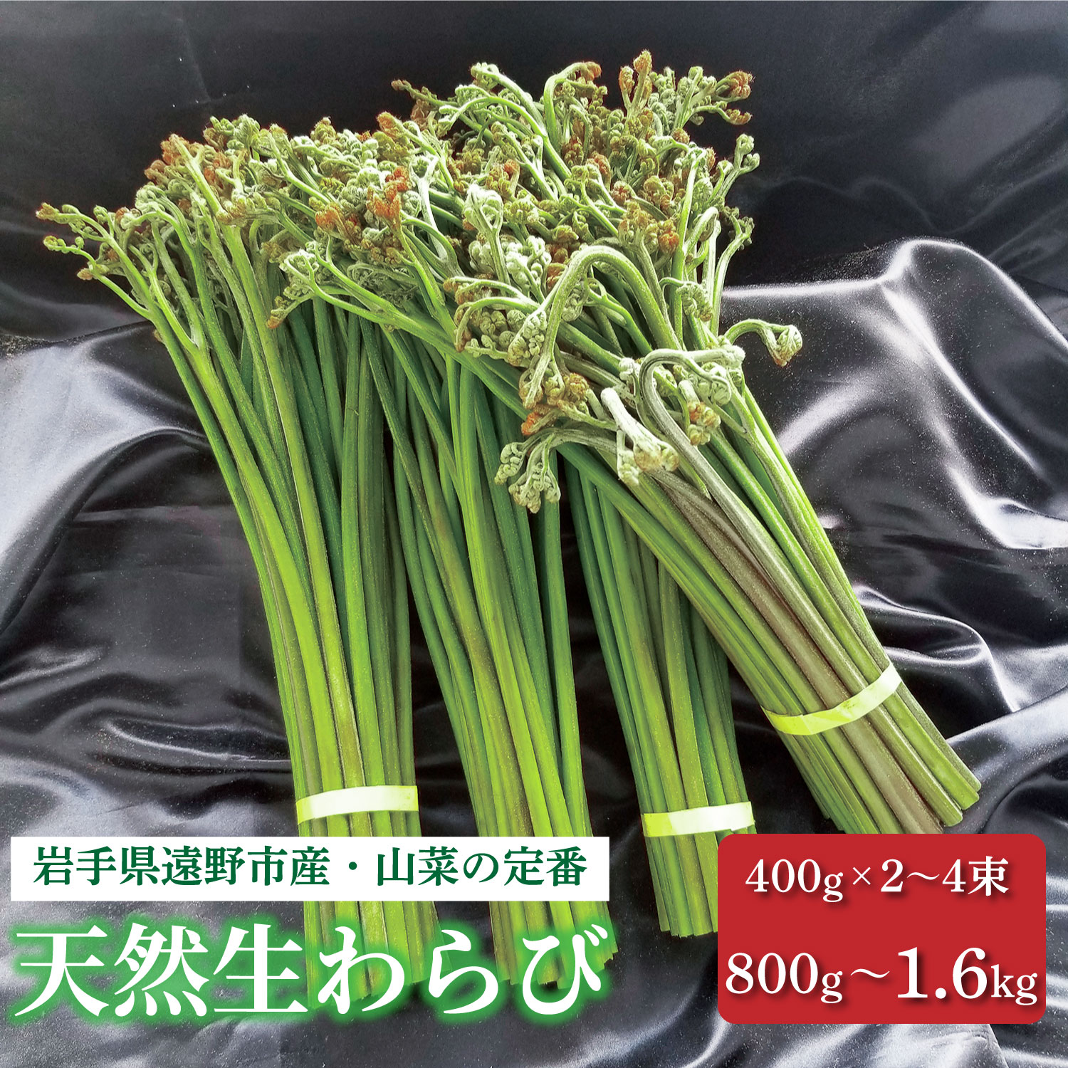 わらび 天然 選べる 400g×2 3 4 束 計 800g 1.2kg 1.6kg 極太 超極太 岩手県 遠野市 産 山菜 生 ワラビ 旬 田村りんご店 期間限定 数量限定 令和8年産 2026年産 春野菜 春 野菜 産地 直送 お取り寄せ 新鮮 おひたし 和え物 送料無料