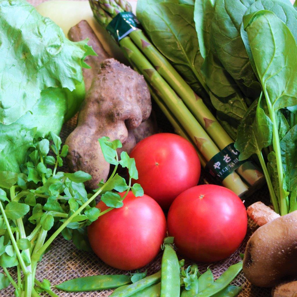 【ふるさと納税】遠野 ふるさと 野菜便 定期便 年4回 6〜8品目《 野菜ソムリエ 上級プロ 厳選 》/ 東北 岩手県 遠野市 産 野菜 やさい セット ベジタブル 詰め合わせ 旬 新鮮 産地直送 採れたて 国産 おまかせ 仕送り ギフト BBQ 鍋 料理 お中元 送料無料 - 画像3