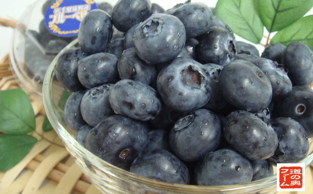 【ふるさと納税】 ブルーベリー パウダー 粉 30g 5袋 セット / 無農薬 農薬不使用 道の奥ファーム 健康 美容 視力 目 キッズ 子ども ベビー 抗酸化作用 腸内環境 アントシアニン ポリフェノール 朝食 安心 自然 風味 ビタミン ミネラル 食物繊維 送料無料 サムネイル3