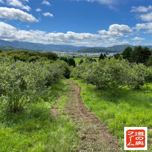 【ふるさと納税】 ブルーベリー パウダー 粉 30g 5袋 セット / 無農薬 農薬不使用 道の奥ファーム 健康 美容 視力 目 キッズ 子ども ベビー 抗酸化作用 腸内環境 アントシアニン ポリフェノール 朝食 安心 自然 風味 ビタミン ミネラル 食物繊維 送料無料 サムネイル2