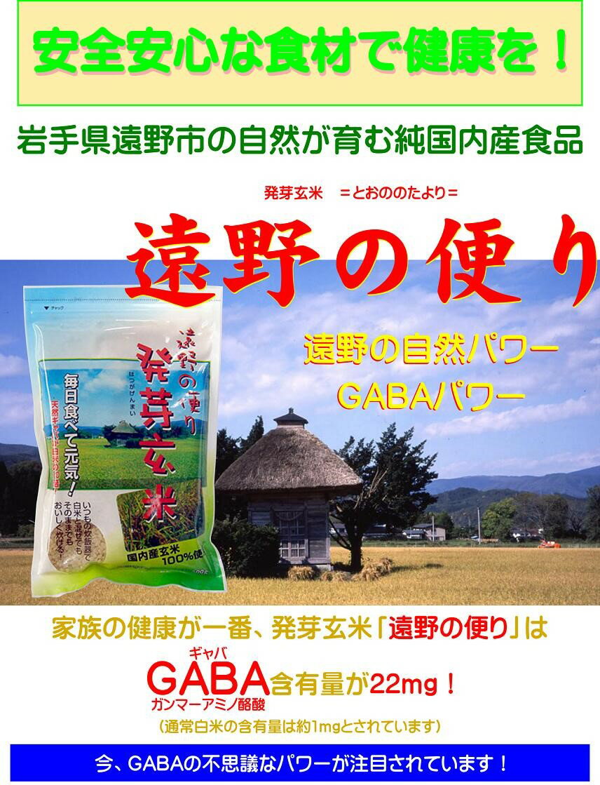 【ふるさと納税】発芽玄米 ひとめぼれ 遠野の便り 5kg ( 500g × 10袋 ) セット 道の奥ファーム 玄米 お米 おこめ 米 ご飯 おにぎり ごはん 栄養 健康 食品 食物繊維 GABA ギャバ γ‐アミノ酪酸 やわらか ぷちぷち 甘い 小分け パック 東北 岩手県 遠野市 国産 送料無料 - 画像2