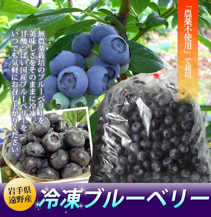【ふるさと納税】ブルーベリー 冷凍 大粒 Lサイズ 1kg 道の奥ファーム 栽培期間中 農薬不使用 無農薬 国産 岩手県 遠野市 果実 フルーツ 果物 くだもの 健康 美容 目 抗酸化作用 アントシアニン ポリフェノール 老化防止 ビタミン ミネラル 食物繊維 腸内環境 視力 送料無料 サムネイル2
