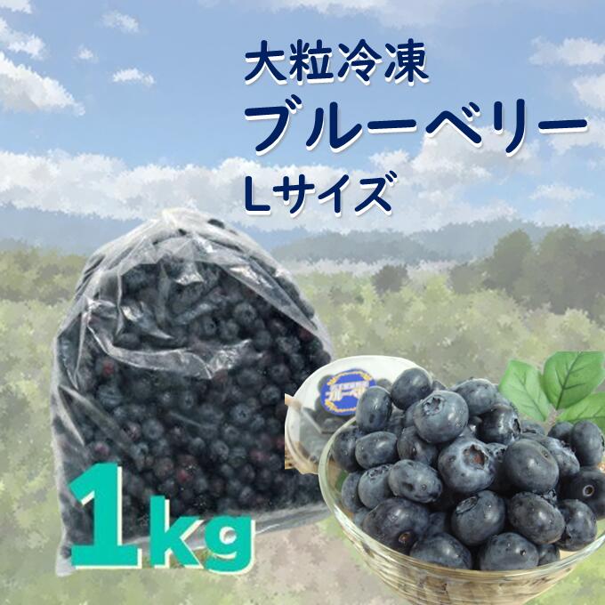 ブルーベリー 冷凍 大粒 Lサイズ 1kg 道の奥ファーム 栽培期間中 農薬不使用 無農薬 国産 岩手県 遠野市 果実 フルーツ 果物 くだもの 健康 美容 目 抗酸化作用 アントシアニン ポリフェノール 老化防止 ビタミン ミネラル 食物繊維 腸内環境 視力 送料無料