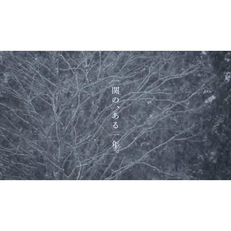 【ふるさと納税】「もち」DVD 一関 もち 映画 サムネイル2