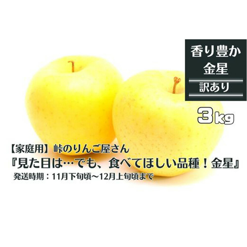 先行予約 峠のりんご屋さん 金星 3kg（10〜12 玉入り） 家庭用 林檎 りんご リンゴ 岩手県 果物 フルーツ くだもの