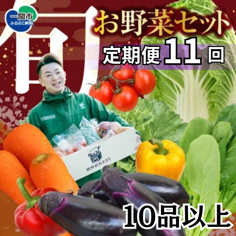 野菜 定期便 11回 お楽しみ 野菜セット 旬 新鮮 詰め合わせ セット ギフト 直送 農家 夏野菜 おまかせ お取り寄せ 産直直送 産直 秋 冬 サラダ 詰合せ 11times