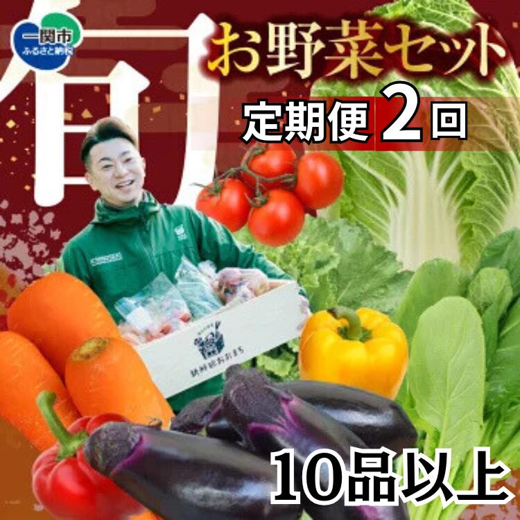 野菜 定期便 2回 お楽しみ 2回 野菜セット 旬 新鮮 詰め合わせ セット ギフト 直送 農家 夏野菜 おまかせ お取り寄せ 産直直送 産直 秋 冬 サラダ 詰合せ 2times