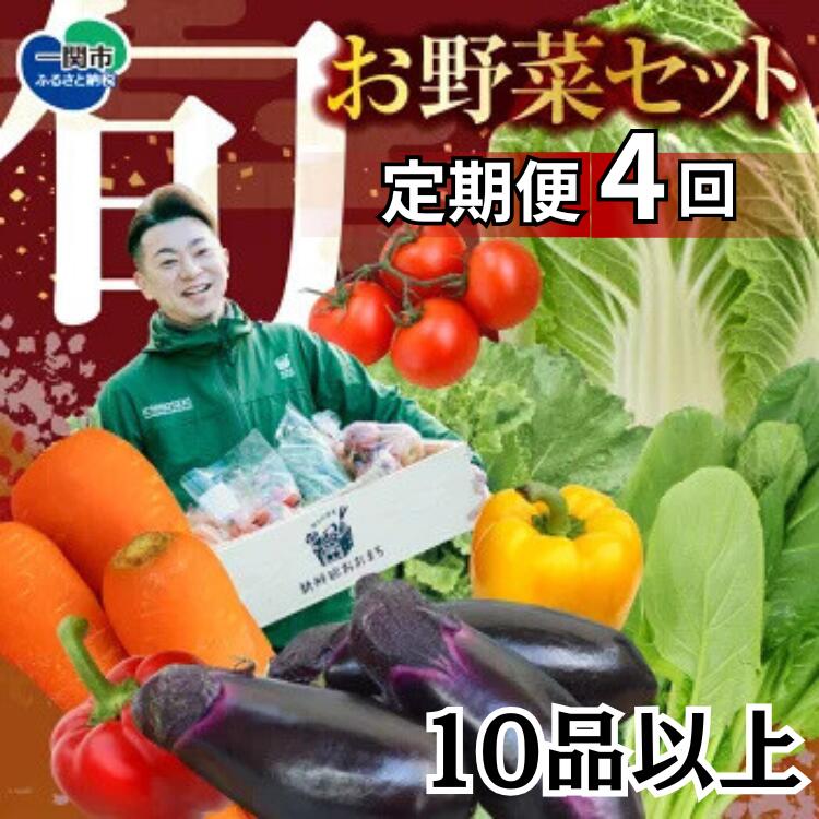 野菜 定期便 4回 お楽しみ 野菜セット 旬 新鮮 詰め合わせ セット ギフト 直送 農家 夏野菜 おまかせ お取り寄せ 産直直送 産直 秋 冬 サラダ 詰合せ 4times