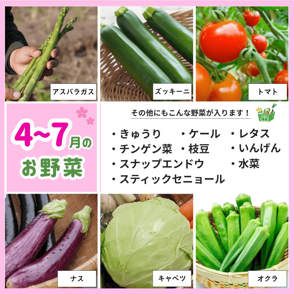 【ふるさと納税】野菜 定期便 10回 お楽しみ 野菜セット 旬 新鮮 詰め合わせ セット ギフト 直送 農家 夏野菜 おまかせ お取り寄せ 産直直送 産直 秋 冬 サラダ 詰合せ 10times - 画像3