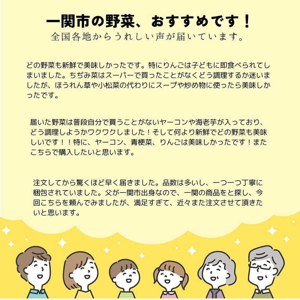 【ふるさと納税】野菜 定期便 3回 お楽しみ 野菜セット 旬 新鮮 詰め合わせ セット ギフト 直送 農家 夏野菜 おまかせ お取り寄せ 産直直送 産直 秋 冬 サラダ 詰合せ 3times - 画像2