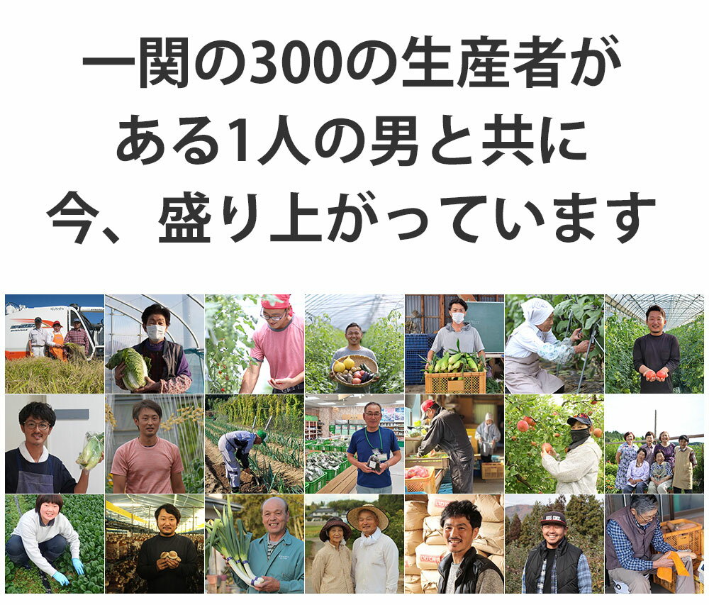【ふるさと納税】旬 新鮮 野菜セット 7〜8品 野菜 詰め合わせ お試し セット 【選べる回数】1～12回 定期便 ふるさと納税 贈り物 ギフト じゃがいも 人参 大根 きのこ サラダ 鍋 果物 農家 直送 産地直送 産直 農産物 お取り寄せ 送料無料 新鮮館おおまち 岩手県 一関市 サムネイル2