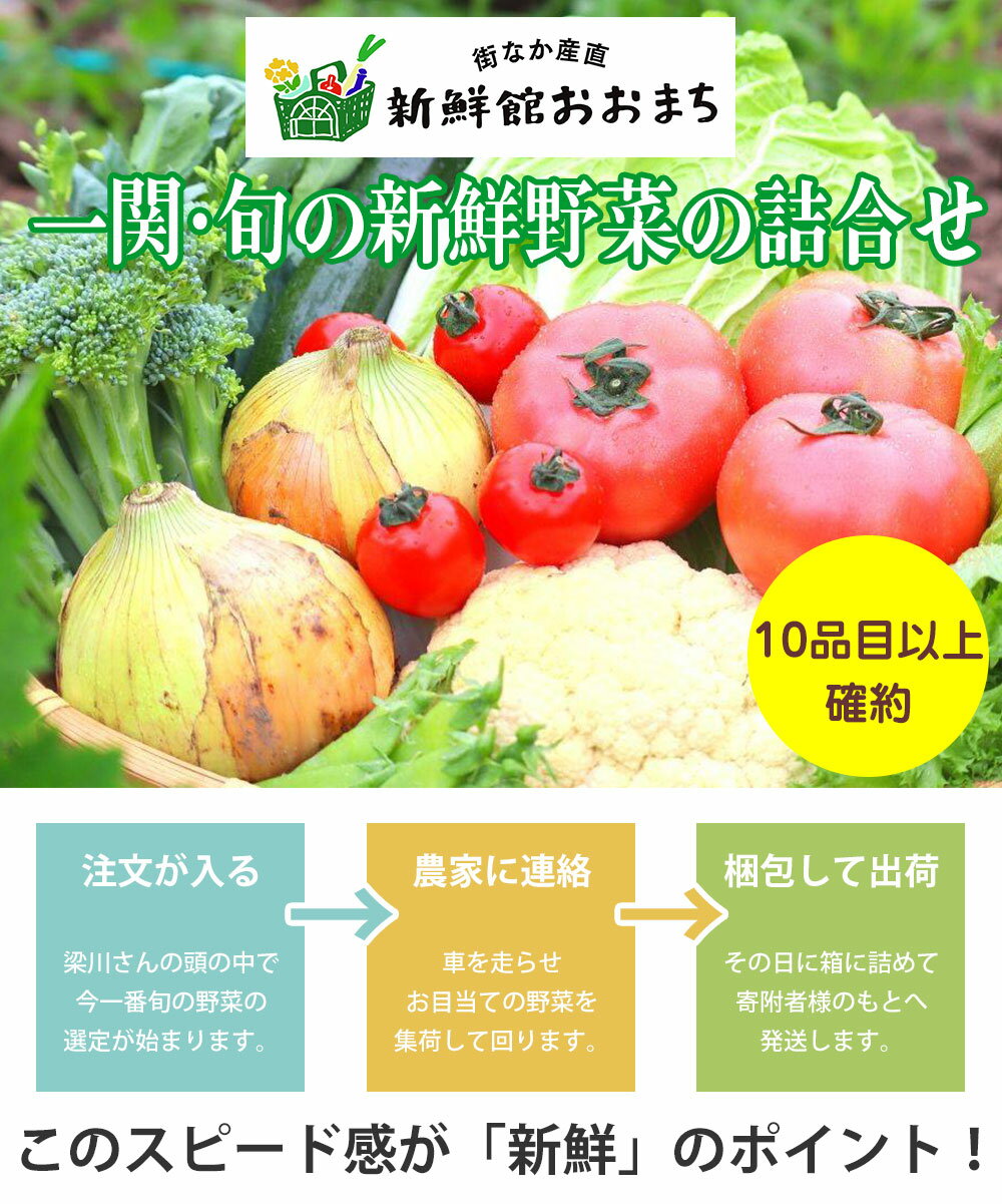 【ふるさと納税】野菜 お楽しみ 野菜セット 旬 新鮮 詰め合わせ 10品以上 ふるさと納税 季節の野菜 新鮮野菜 詰め合わせセット 果物 フルーツ ギフト おまかせ 直送 農家 おまかせ お取り寄せ 産直直送 産直 送料無料 岩手県 一関市 サムネイル3