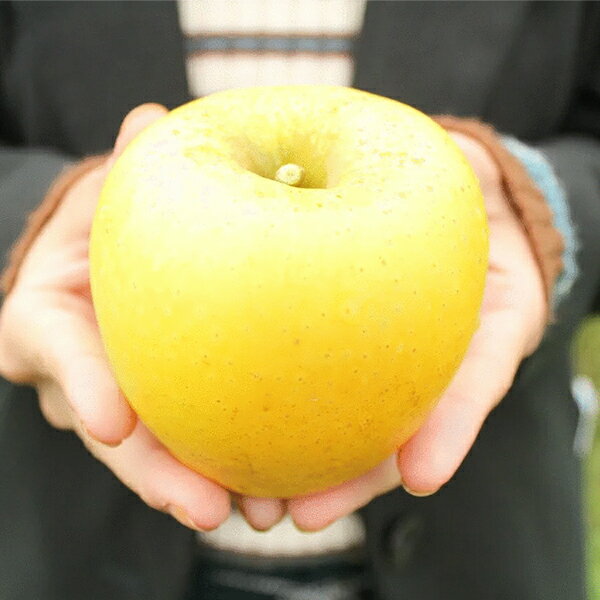 【ふるさと納税】【家庭用】峠のりんご屋さん『旬のりんごをお届けします』3kg（10〜12 玉入り） 林檎 りんご リンゴ 岩手県 果物 フルーツ くだもの サムネイル2