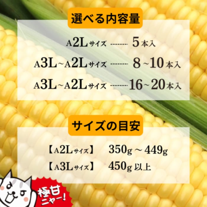【ふるさと納税】先行予約 朝獲れ直送！ 高評価4.85 とうもろこし 菜の花こーん 選べる内容量 5〜20本 A3L〜A2Lサイズ 無農薬 ふるさと納税 とうもろこし コーン 高糖度 フルーツ 野菜 朝採れ 有機栽培 農家直送 新鮮 人気 高評価 岩手県 一関市 数量限定 7月下旬～発送予定 - 画像3