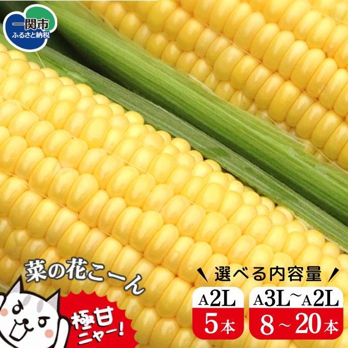 先行予約 朝獲れ直送！ 高評価4.85 とうもろこし 菜の花こーん 選べる内容量 5〜20本 A3L〜A2Lサイズ 無農薬 ふるさと納税 とうもろこし コーン 高糖度 フルーツ 野菜 朝採れ 有機栽培 農家直送 新鮮 人気 高評価 岩手県 一関市 数量限定 7月下旬～発送予定