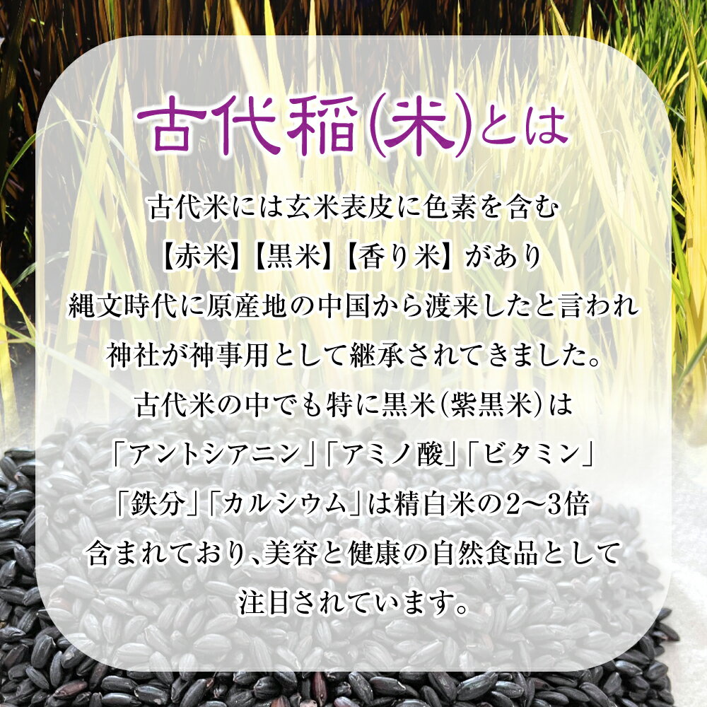 【ふるさと納税】高評価 4.7★ 訳あり 古代米 紫米 150g×5袋 計750g 小分け セット 黒米 紫黒米 玄米 ご飯 もち米 国産 ふるさと納税 スーパーフード アントシアニン 栄養 健康 美容 生活習慣予防 栄養 おにぎり 弁当 カレー 送料無料 岩手県 一関市 ＜時間指定不可＞ サムネイル2