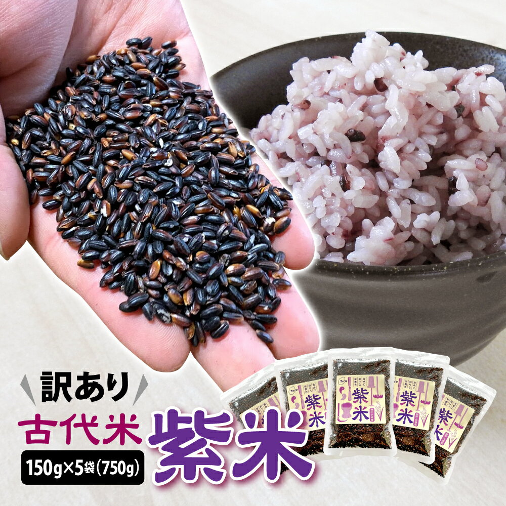 高評価 4.7★ 訳あり 古代米 紫米 150g×5袋 計750g 小分け セット 黒米 紫黒米 玄米 ご飯 もち米 国産 ふるさと納税 スーパーフード アントシアニン 栄養 健康 美容 生活習慣予防 栄養 おにぎり 弁当 カレー 送料無料 岩手県 一関市 ＜時間指定不可＞