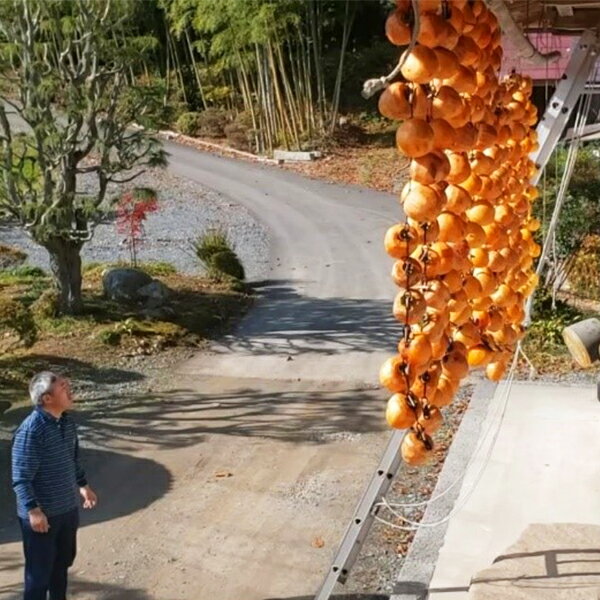【ふるさと納税】大自然で作った 干し柿 15個 無添加 岩手県 一関市 柿 干柿 数量限定 季節限定 フルーツ スイーツ かき 冬の味覚 懐かしい 優しい甘さ ≪先行予約 12月下旬〜順次発送予定≫ サムネイル2