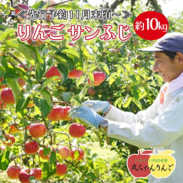 家庭用 りんご サンふじ 約10kg ≪先行予約11月下旬頃〜順次発送≫ リンゴ 林檎 果物 フルーツ 産直 岩手県 一関市