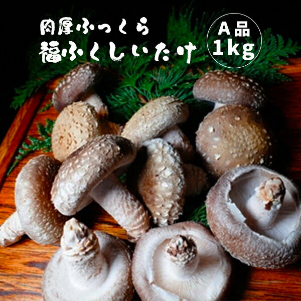 肉厚ふっくら 福ふくしいたけ A品1kg
