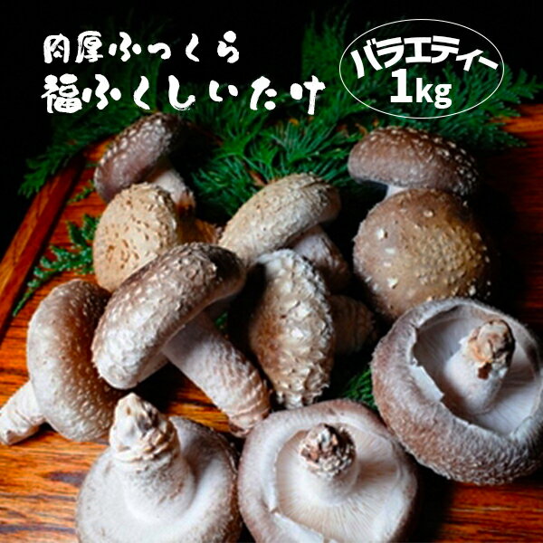 肉厚ふっくら 福ふくしいたけ バラエティー 1kg