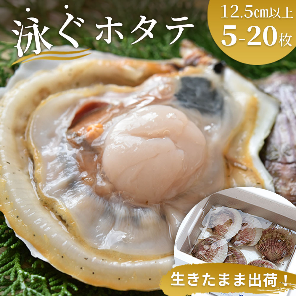 高評価 4.96 泳ぐホタテ (12.5cm以上) 活ホタテ 生ホタテ 生帆立 生 貝柱 帆立 殻付き 刺身 岩手県 釜石市 三陸海岸 鮮度 新鮮 ヤマキイチ ヤマキイチ商店 活きの良いホタテ 高級 ご褒美 海鮮 ※離島・沖縄への発送不可