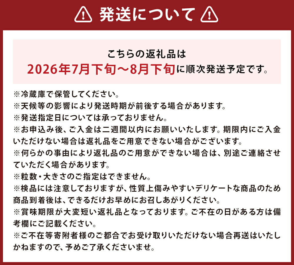 【ふるさと納税】訳あり ミニトマト アイコ 約2kg 野菜 トマト ご家庭用 二戸市産 岩手県産 冷蔵 送料無料 【2026年7月下旬～8月下旬発送予定】 - 画像3