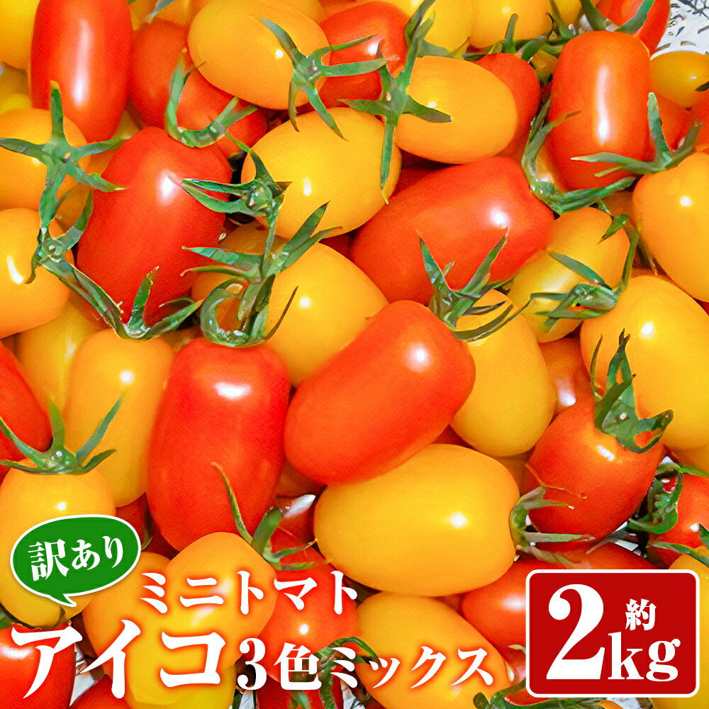 訳あり ミニトマト アイコ 3色ミックス 約2kg 野菜 トマト ご家庭用 二戸市産 岩手県産 冷蔵 送料無料 【2026年7月下旬～8月下旬発送予定】