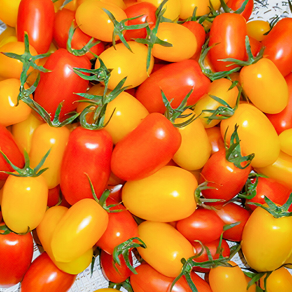 【ふるさと納税】訳あり 夏野菜セット 3品 約3.6kg ミニトマト なす きゅうり 野菜 トマト 茄子 胡瓜 3種類 セット ご家庭用 二戸市産 岩手県産 冷蔵 送料無料 【2026年7月下旬～8月下旬発送予定】 - 画像3