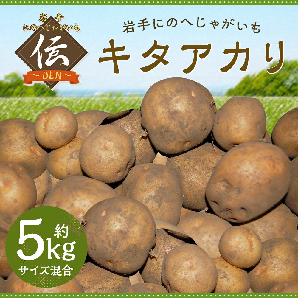 【ふるさと納税】厳選品 岩手にのへじゃがいも「伝」 キタアカリ 約5kg サイズ混合 じゃがいも 芋 じゃが芋 野菜 二戸市産 岩手県産 国産 送料無料【2026年9月中旬から2027年2月下旬発送予定】 - 画像2