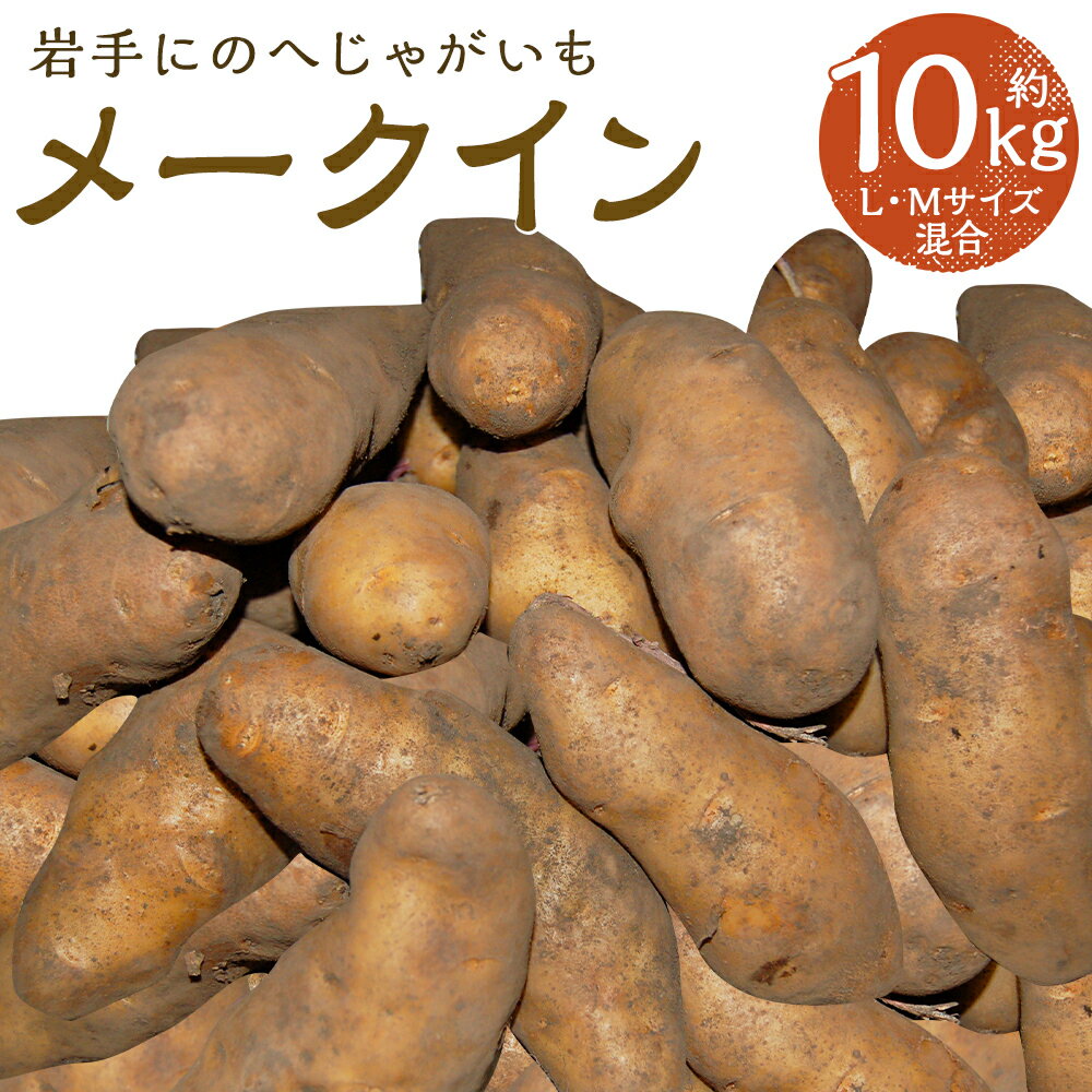 厳選品 岩手にのへじゃがいも「伝」 メークイン 約10kg L・Mサイズ混合 じゃがいも 芋 じゃが芋 野菜 二戸市産 岩手県産 国産 送料無料【2026年9月中旬から2027年2月下旬発送予定】