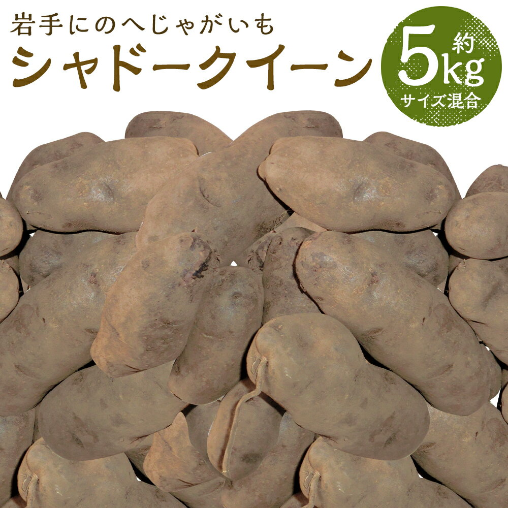 厳選品 岩手にのへじゃがいも「伝」 シャドークイーン 約5kg サイズ混合 じゃがいも 芋 じゃが芋 野菜 二戸市産 岩手県産 国産 送料無料【2026年9月中旬から2027年2月下旬発送予定】