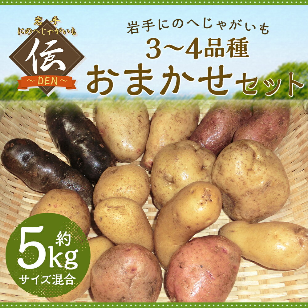 【ふるさと納税】厳選品 岩手にのへじゃがいも「伝」 3～4種 品種おまかせ 約5kg サイズ混合 ランダム おまかせ セット じゃがいも 芋 じゃが芋 野菜 二戸市産 岩手県産 国産 送料無料【2026年9月中旬から2027年2月下旬発送予定】 - 画像2