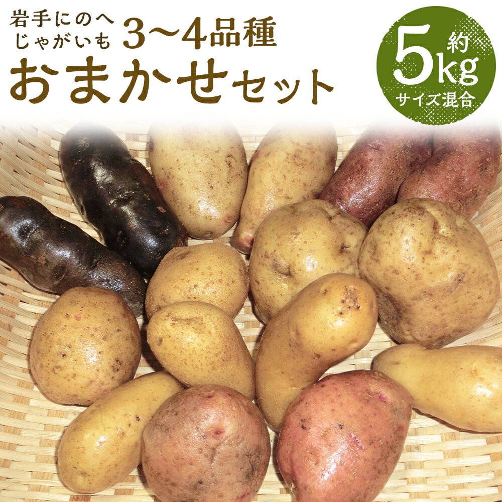 厳選品 岩手にのへじゃがいも「伝」 3～4種 品種おまかせ 約5kg サイズ混合 ランダム おまかせ セット じゃがいも 芋 じゃが芋 野菜 二戸市産 岩手県産 国産 送料無料【2026年9月中旬から2027年2月下旬発送予定】