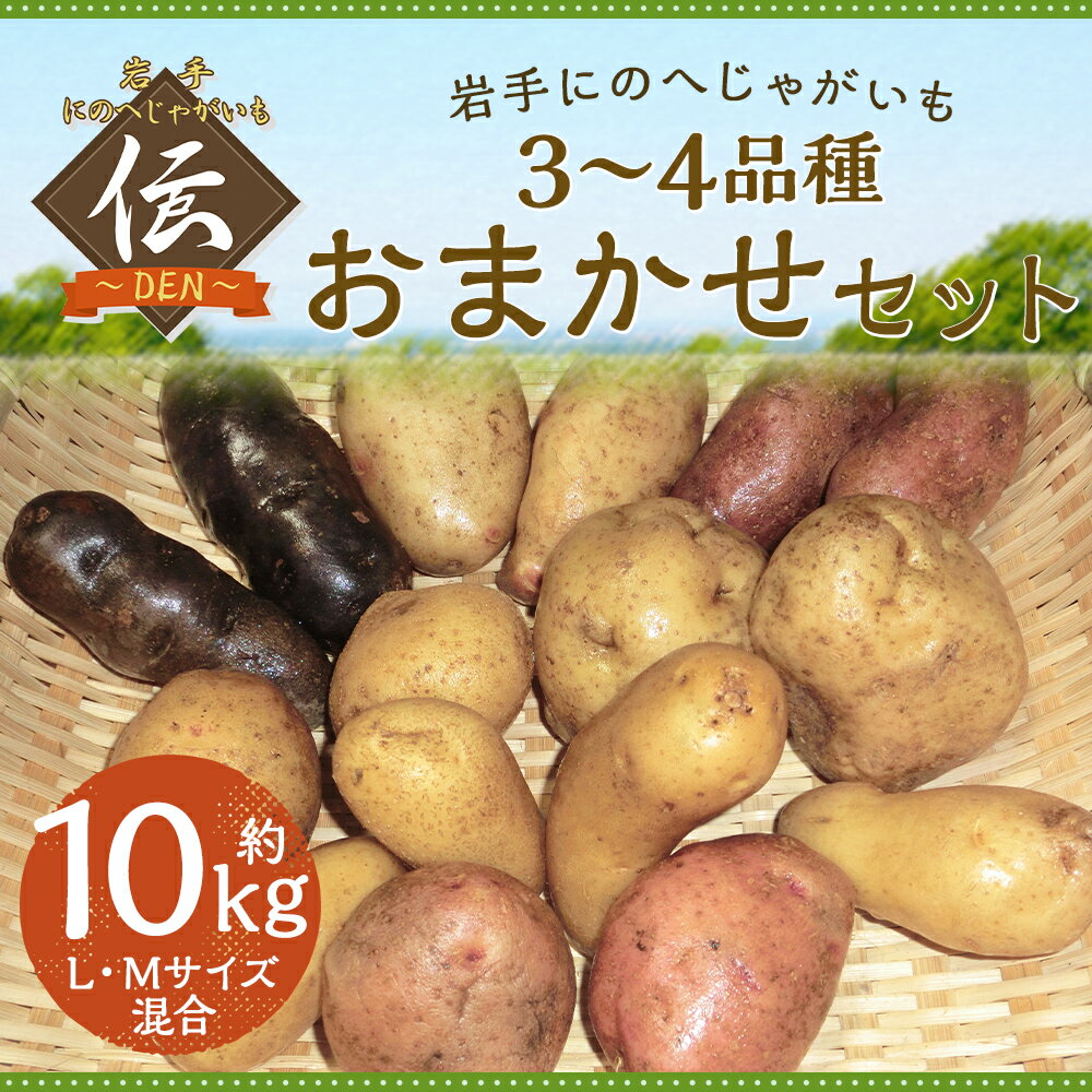 【ふるさと納税】厳選品 岩手にのへじゃがいも「伝」 3～4種 品種おまかせ 約10kg L・Mサイズ混合 ランダム おまかせ セット じゃがいも 芋 じゃが芋 野菜 二戸市産 岩手県産 国産 送料無料【2026年9月中旬から2027年2月下旬発送予定】 - 画像2
