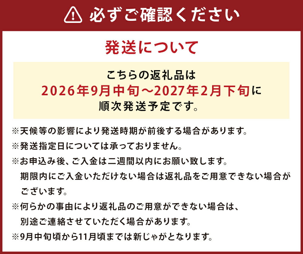 【ふるさと納税】厳選品 岩手にのへじゃがいも「伝」 キタアカリ 約5kg サイズ混合 じゃがいも 芋 じゃが芋 野菜 二戸市産 岩手県産 国産 送料無料【2026年9月中旬から2027年2月下旬発送予定】 - 画像3