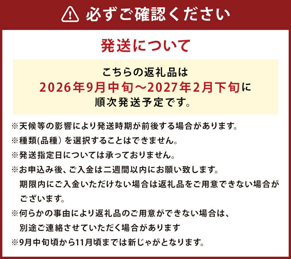 【ふるさと納税】厳選品 岩手にのへじゃがいも「伝」 3～4種 品種おまかせ 約10kg L・Mサイズ混合 ランダム おまかせ セット じゃがいも 芋 じゃが芋 野菜 二戸市産 岩手県産 国産 送料無料【2026年9月中旬から2027年2月下旬発送予定】 - 画像3