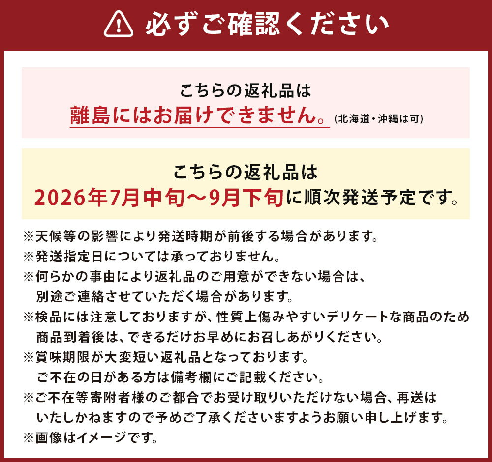 【ふるさと納税】いわてひろファームの岩手にのへきゅうり 訳アリ B品 約2kg/約3kg/約5kg/約10kg 選べる内容量 ご家庭用 胡瓜 野菜 きゅうり 二戸市産 岩手県産 国産 送料無料【2026年7月中旬から9月下旬に順次発送予定】 - 画像2