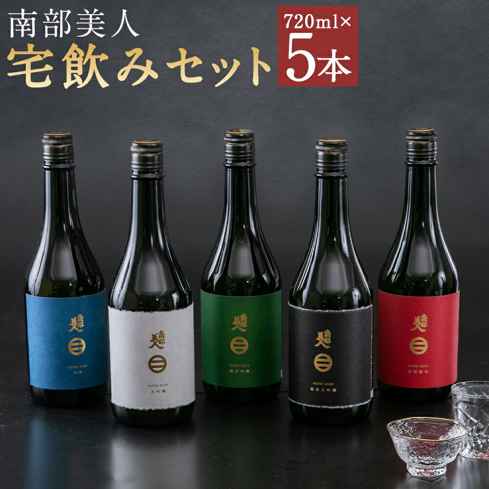【南部美人】宅飲みセット（720ml×5本・計3600ml） 5種類 セット 飲み比べ 吟醸 日本酒 お酒 宅飲み 送料無料