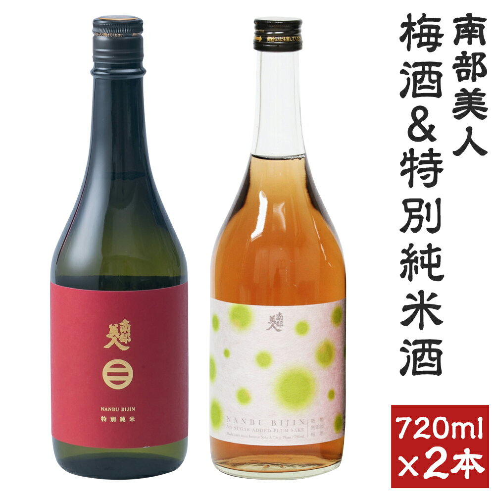 【南部美人】糖類無添加梅酒＆特別純米酒セット ギフト箱入 飲み比べ 詰め合わせ お酒 日本酒 リキュール 送料無料