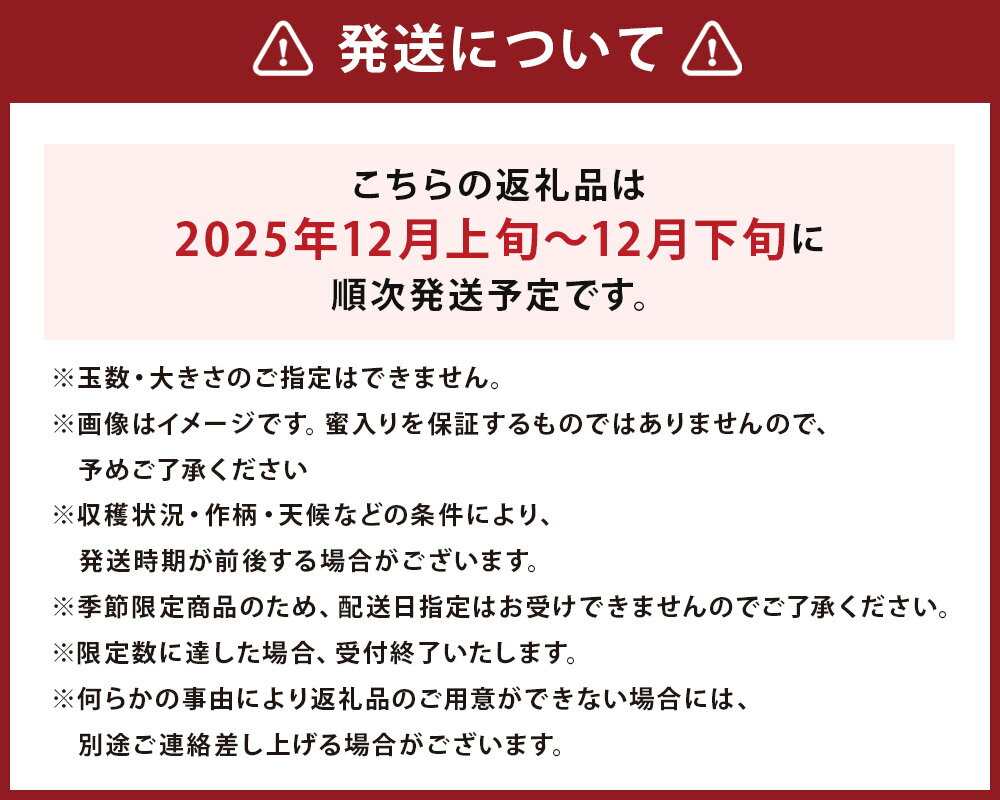 【ふるさと納税】二戸産りんご サンふじ 約3kg/約5kg/約10kg 選べる内容量 林檎 リンゴ 果物 フルーツ 東北 岩手県産 国産 送料無料【2025年12月発送予定】 サムネイル3